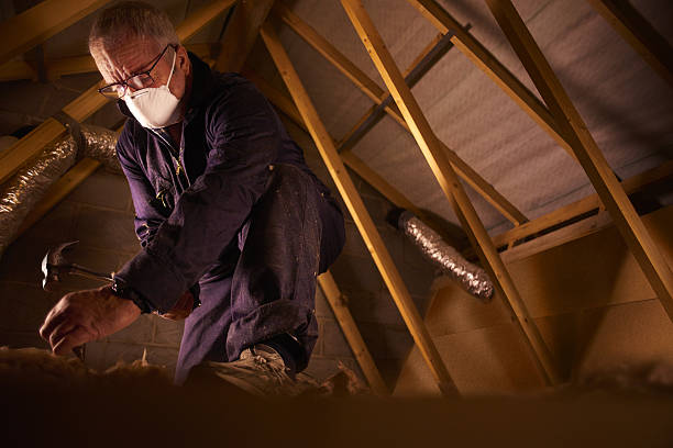 Best Insulation Maintenance and Repair in Crete, NE